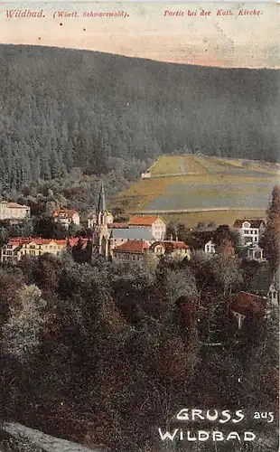 Bad Wildbad Panorama gl1906 140.687