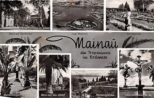 Insel Mainau (Bodensee) Teilansichten glca.1955 144.144