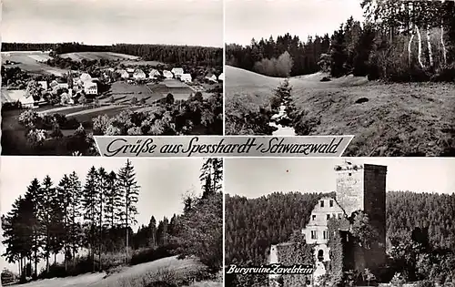 Spesshardt/Schwarzwald Teilansichten gl1963 141.988