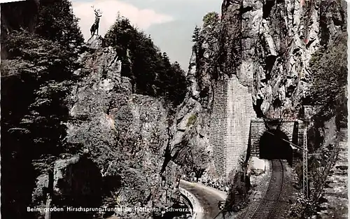 Beim großen Hirschsprung-Tunnel im Höllental ngl 142.505