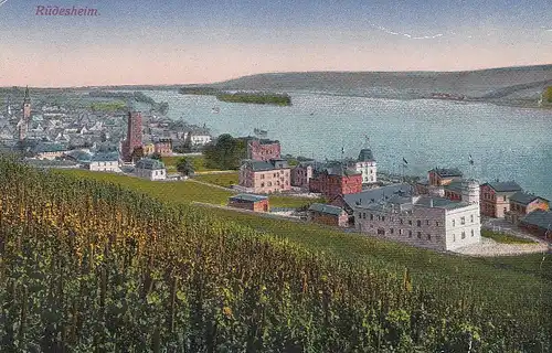 Rüdesheim am Rhein Panorama ngl D1495