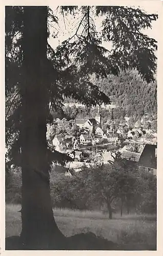 Bad Liebenzell Panorama von Westen ngl 142.094