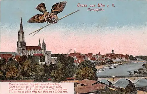 Ulm a.D. Panorama Donauseite gl1906 142.728