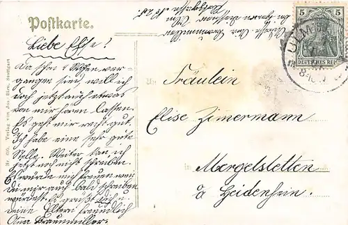 Ulm a.D. Panorama Donauseite gl1906 142.728