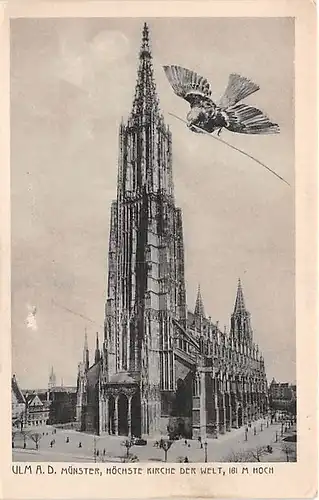 Ulm a.D. Münster ngl 142.768