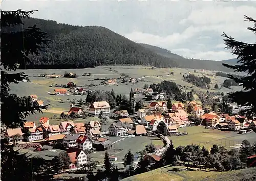 Mitteltal im Murgtal Panorama ngl 141.935