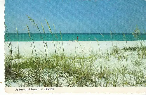 A tranquile beach in Florida ngl C9251