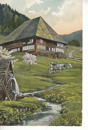 Schwarzwald-Idylle im Frühling ngl C9894