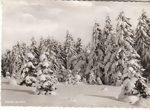 Winter im Harz gl1961 C9629