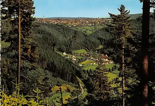 Freudenstadt Blick vom Friedrichstal ngl 142.212