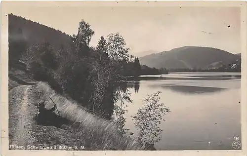 Titisee Panorama ngl 143.134