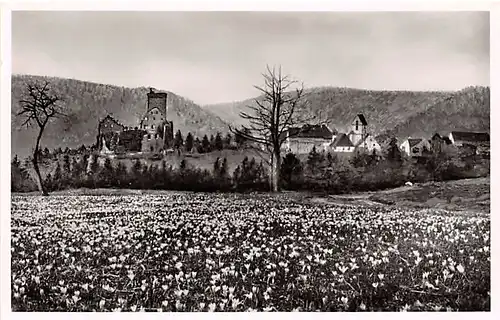 Zavelstein Panorama ngl 142.110