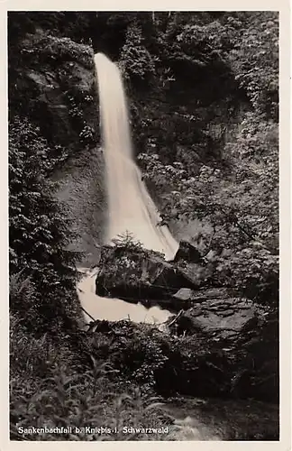 Sankenbachfall bei Kniebis im Schwarzwald gl1932 142.120