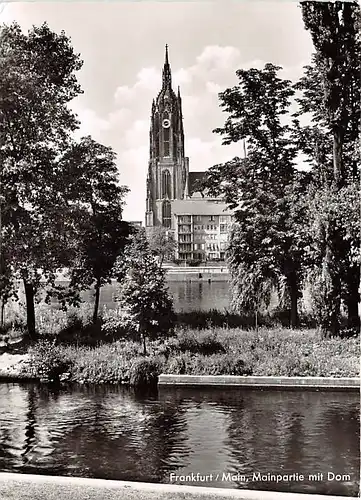 Frankfurt am Main Mainpartie mit Dom glca.1960 143.517