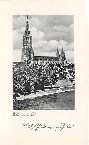 Ulm a.D. Münster ngl 144.600