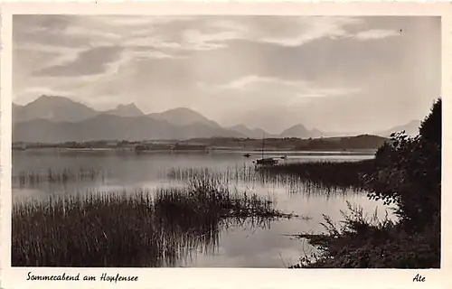 Sommerabend am Hopfensee ngl 143.629