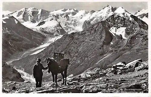 Oberer Schafberg mit Berninagruppe ngl 142.975