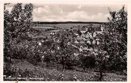 Altensteig Panorama ngl 144.381