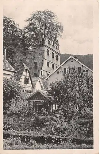 Hirsau Schlossruine mit Ulme gl1917 142.000