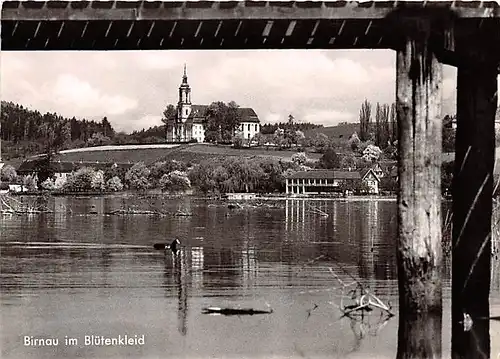 Birnau/Bodensee Uferblick gl1964 143.255