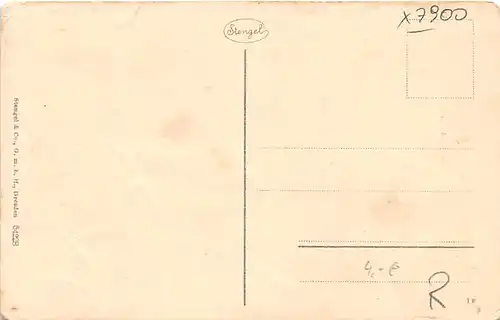 Ulm a.D. Münster ngl 144.863