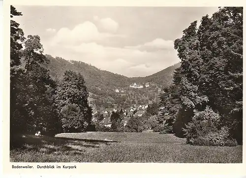 Badenweiler Schwarzwald Kurpark ngl C9866