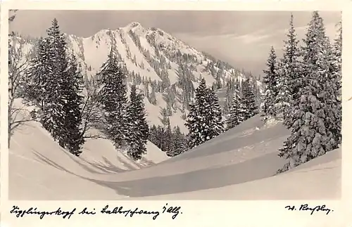 Balderschwang im Allgäu Siplingerkopf glca.1935 143.587