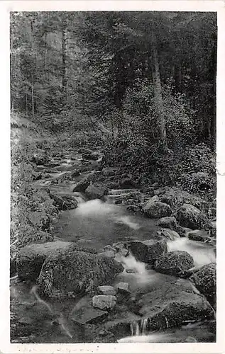 In der Monbachschlucht gl1952 143.115