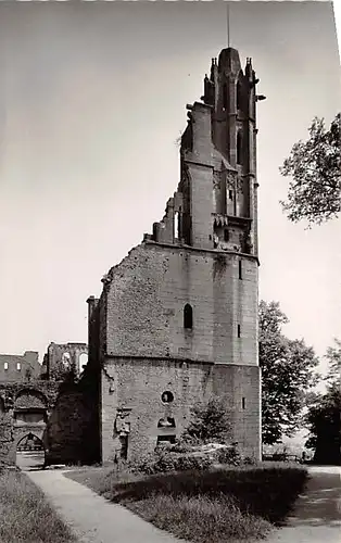 Bad Dürkheim Ruine Limburg gl1966 144.607