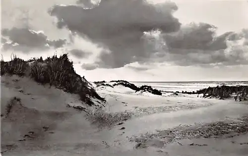 Dünen am Strand gl1968 143.933