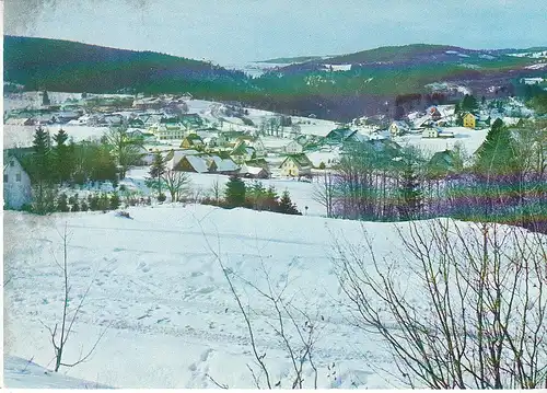 Häusern Schwarzwald Winterparadies ngl C9906