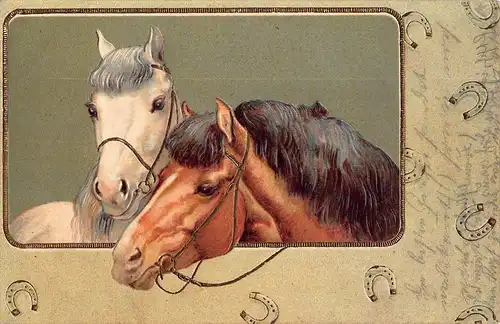 Tiere: Zwei Pferdeköpfe mit goldenen Halftern Prägekarte gl1906 150.780