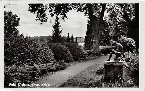 Insel Mainau (Bodensee) Dornauszieher gl1955 144.736