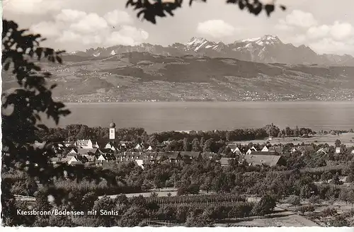 Kressbronn am Bodensee mit Alpenkette gl1969 D0194