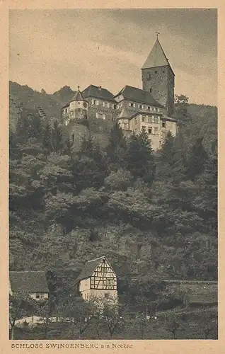 Schloss Zwingenberg am Neckar ngl D3220