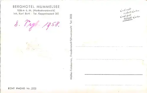 Mummelsee Berghotel ngl 144.001