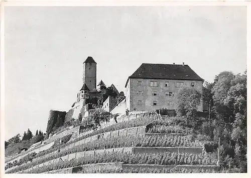 Ruine Hornberg am Neckar ngl 143.453