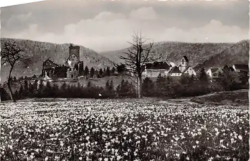 Zavelstein Panorama gl1955 144.367