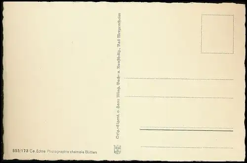 Bad Mergentheim Burgruine ngl 139.855