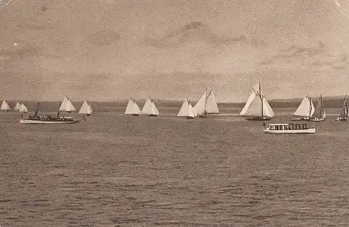 Regatta (?) auf dem Bodensee gl1915 D2179