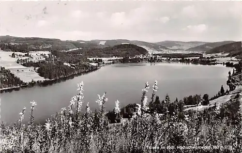 Titisee Panorama gl1958 143.742