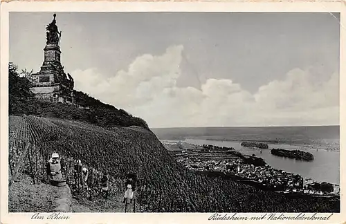 Rüdesheim am Rhein Panorama mit Nationaldenkmal ngl 144.053