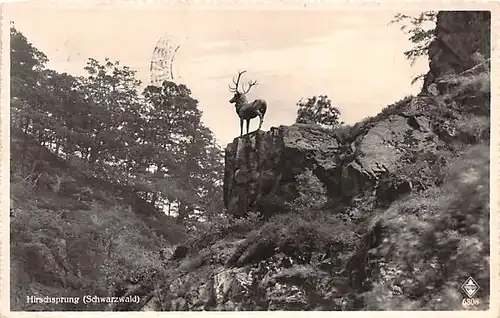 Hirschsprung im Höllental (Schwarzwald) gl1938 145.036