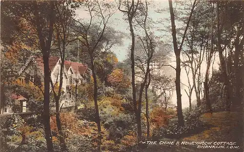 Isle of Wight - Shanklin, The Chine and Honeymoon Cottage ngl 147.016