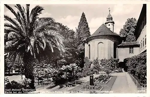 Insel Mainau Partie bei der Schlosskirche gl1950 144.061