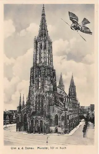 Ulm a.D. Münster ngl 144.925