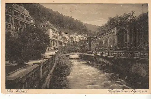 Wildbad Olgastrasse und Trinkhalle ngl D0340