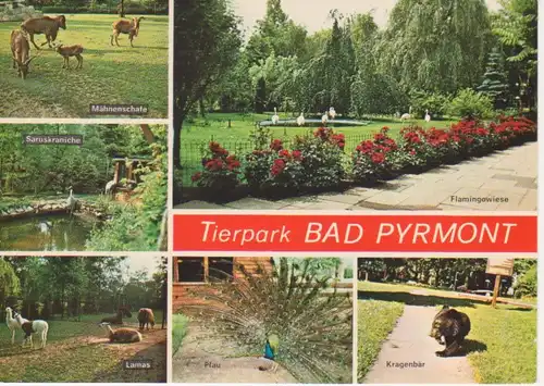 Bad Pyrmont Tierpark Mehrbildkarte ngl 220.374