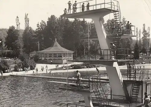 Waldbad Auerbach-Brunn im Vogtland gl1972 D1751