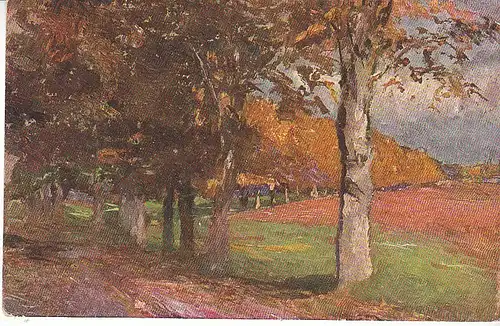 Bäume im Herbstlaub gl1910 D0484